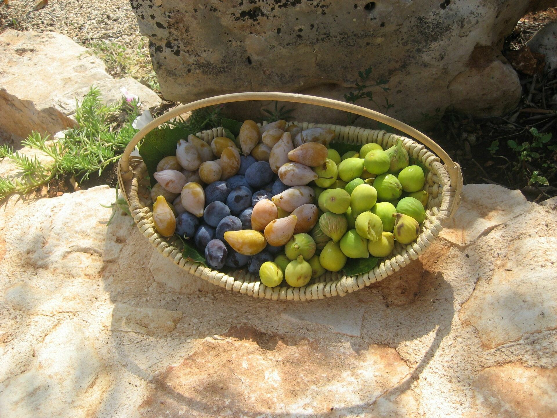 Een verblijf in Toscane…