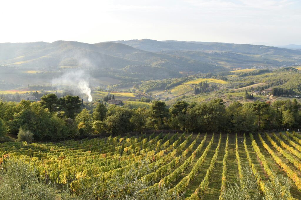 vigneti e vigne nella regione del Chianti in Toscana
